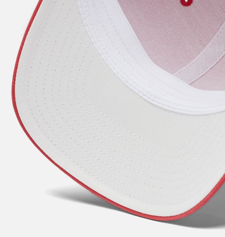 pfg logo mesh-kuglekasket