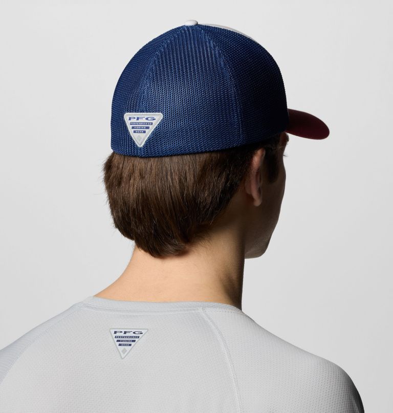 pfg logo mesh-kuglekasket