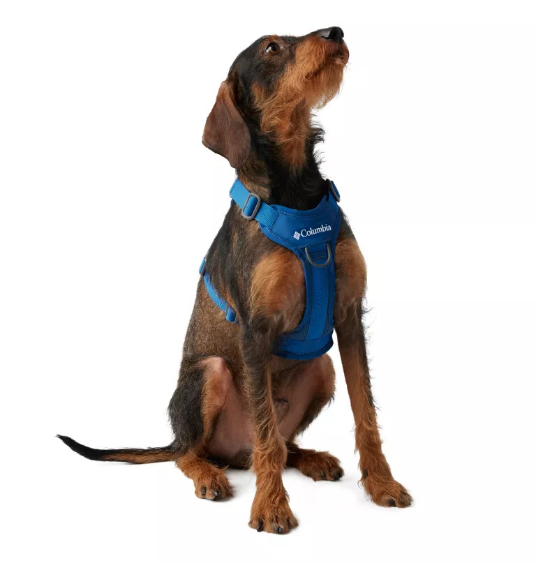 silver ridge hundesele
