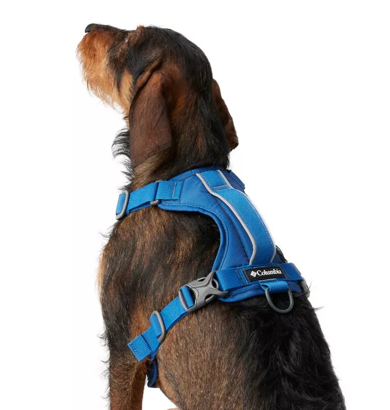 silver ridge hundesele