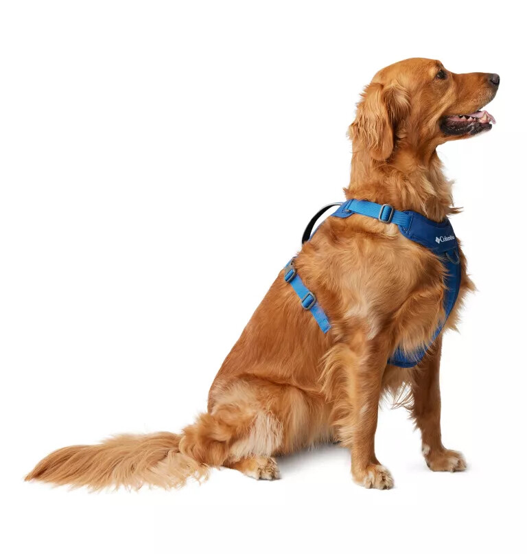silver ridge hundesele