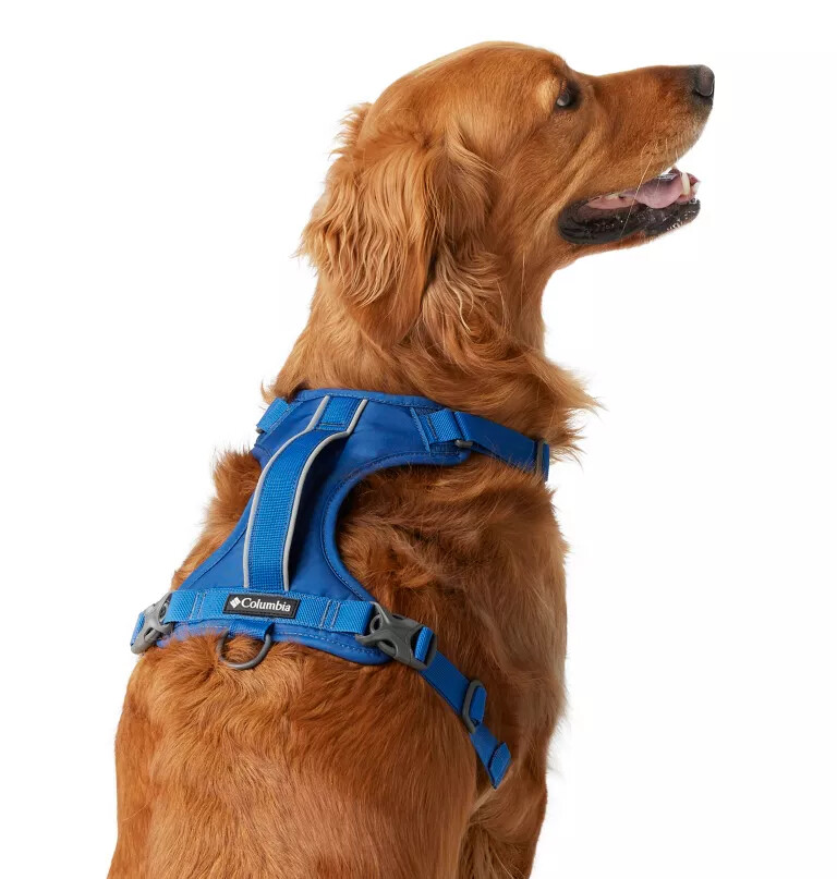 silver ridge hundesele