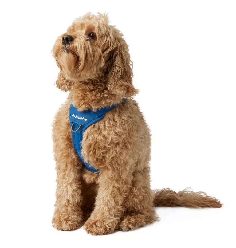 silver ridge hundesele
